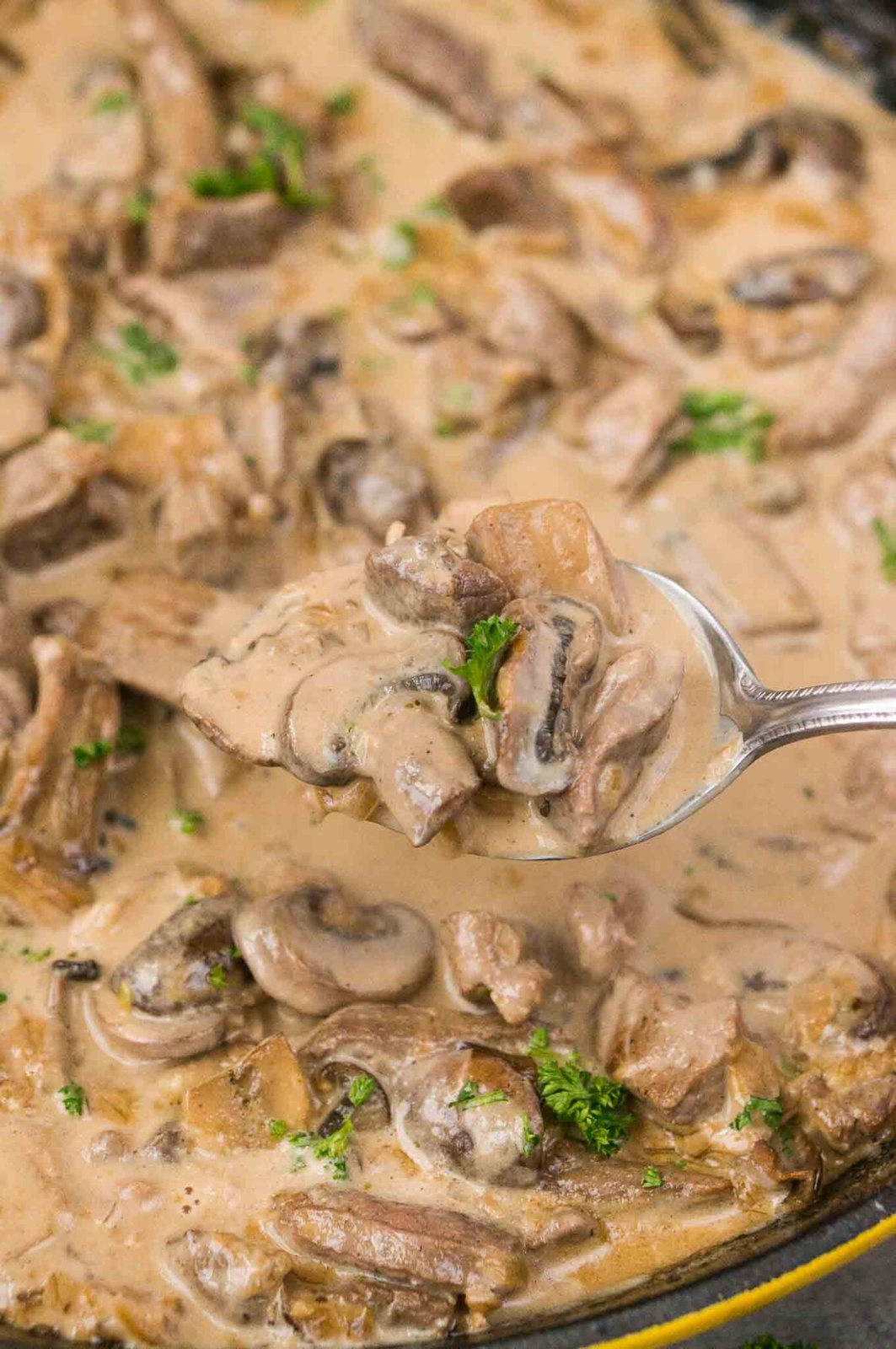 stroganoff sauce