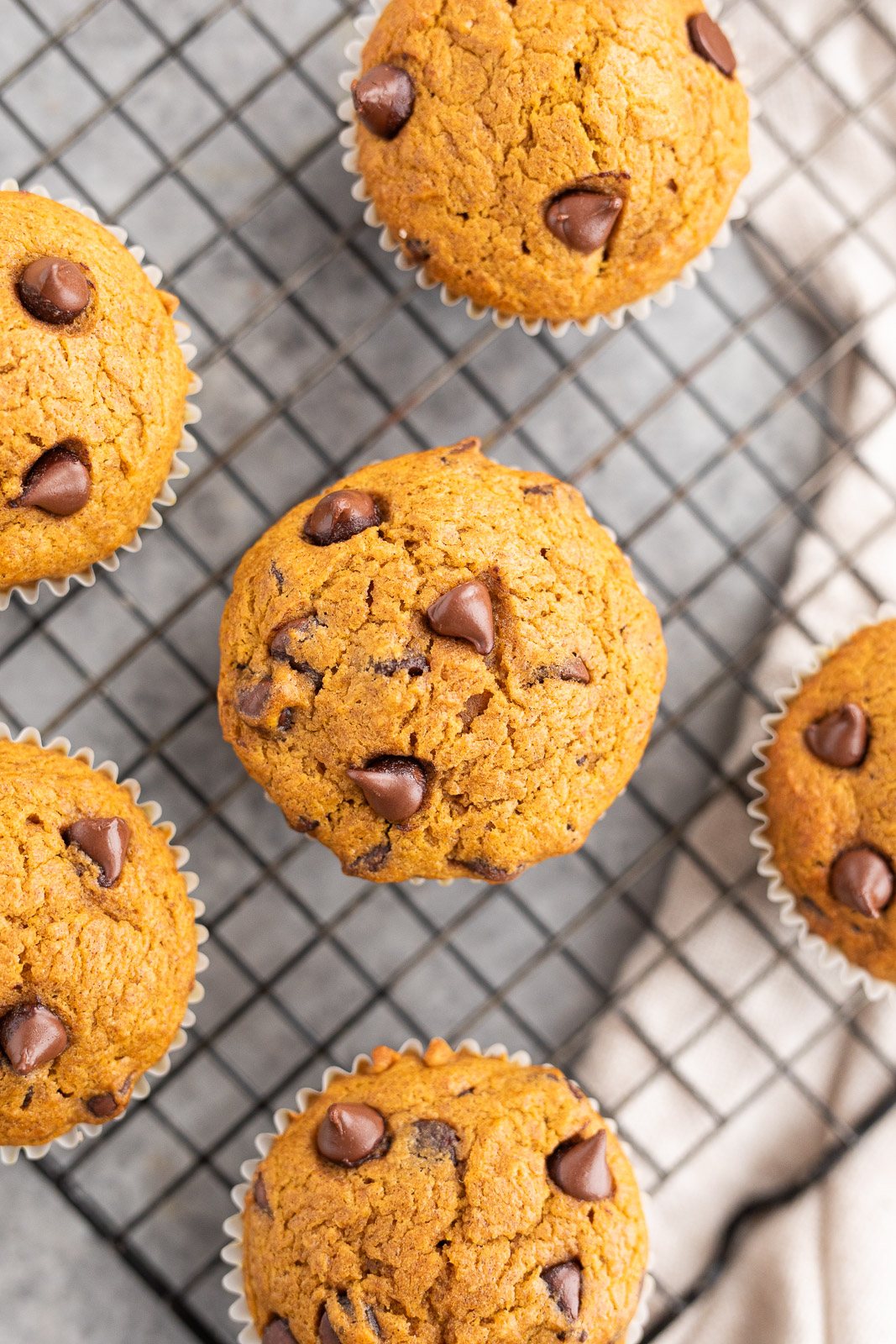Healthy Pumpkin Muffins