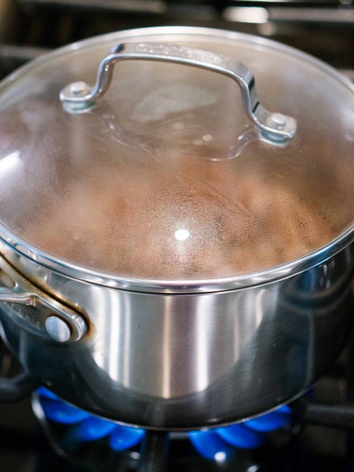 cooking quinoa on the cooktop