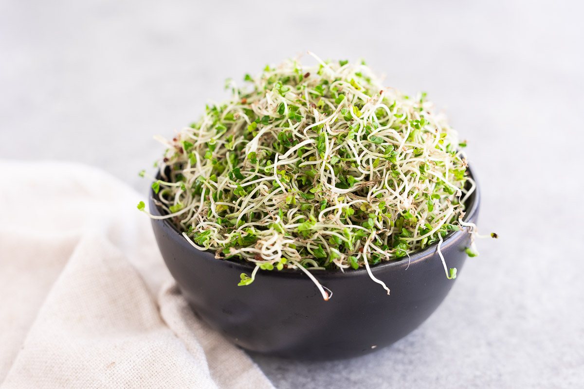 growing broccoli sprouts in a jar