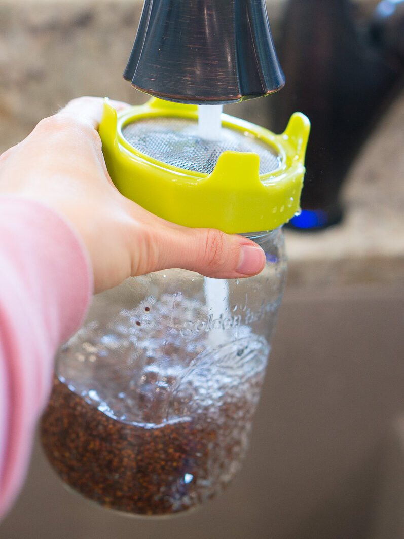rinsing broccoli seeds with water