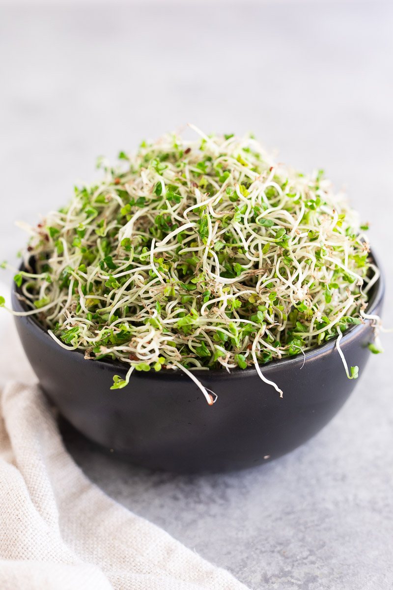 How To Grow Broccoli Sprouts (Step-By-Step Guide)
