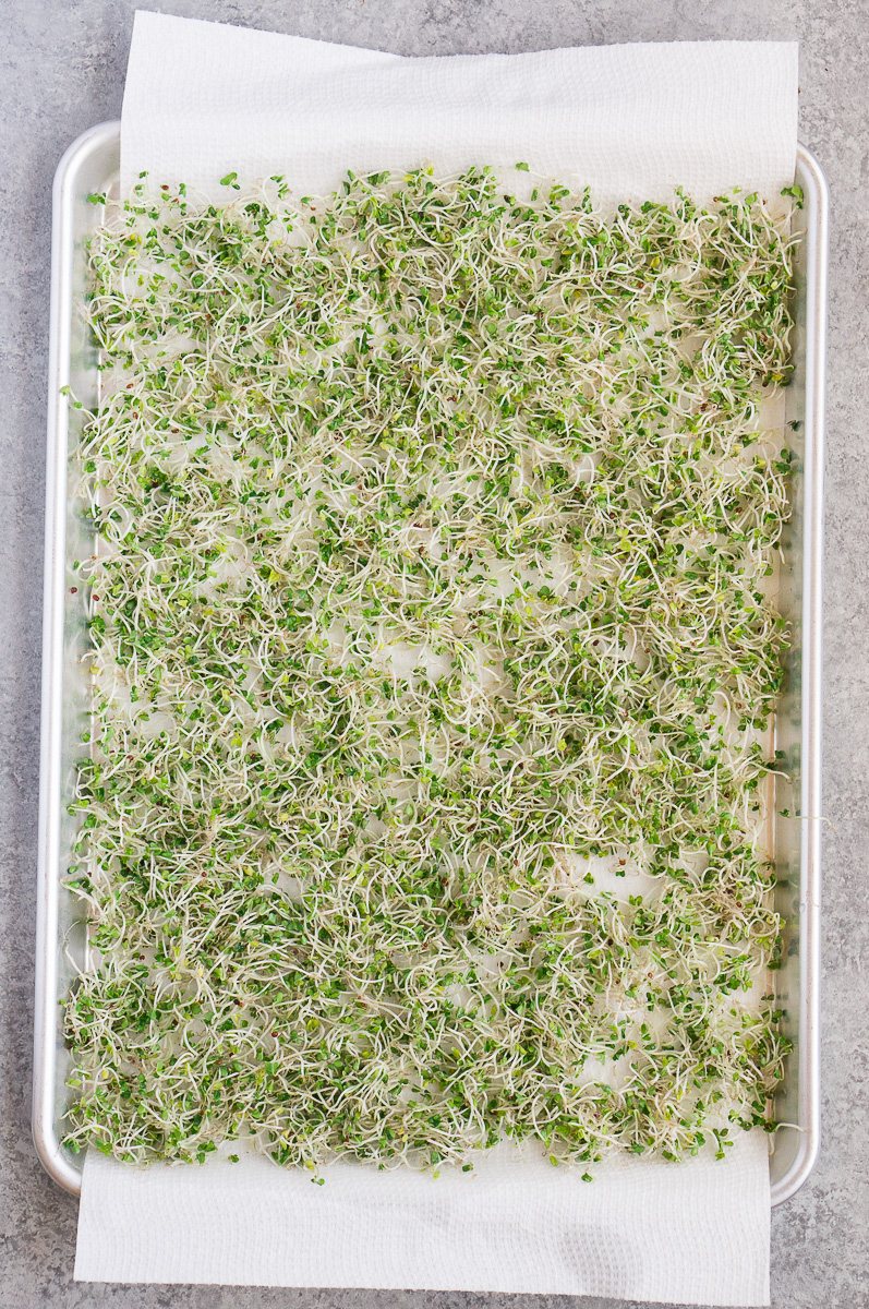 drying sprouts on a baking sheet