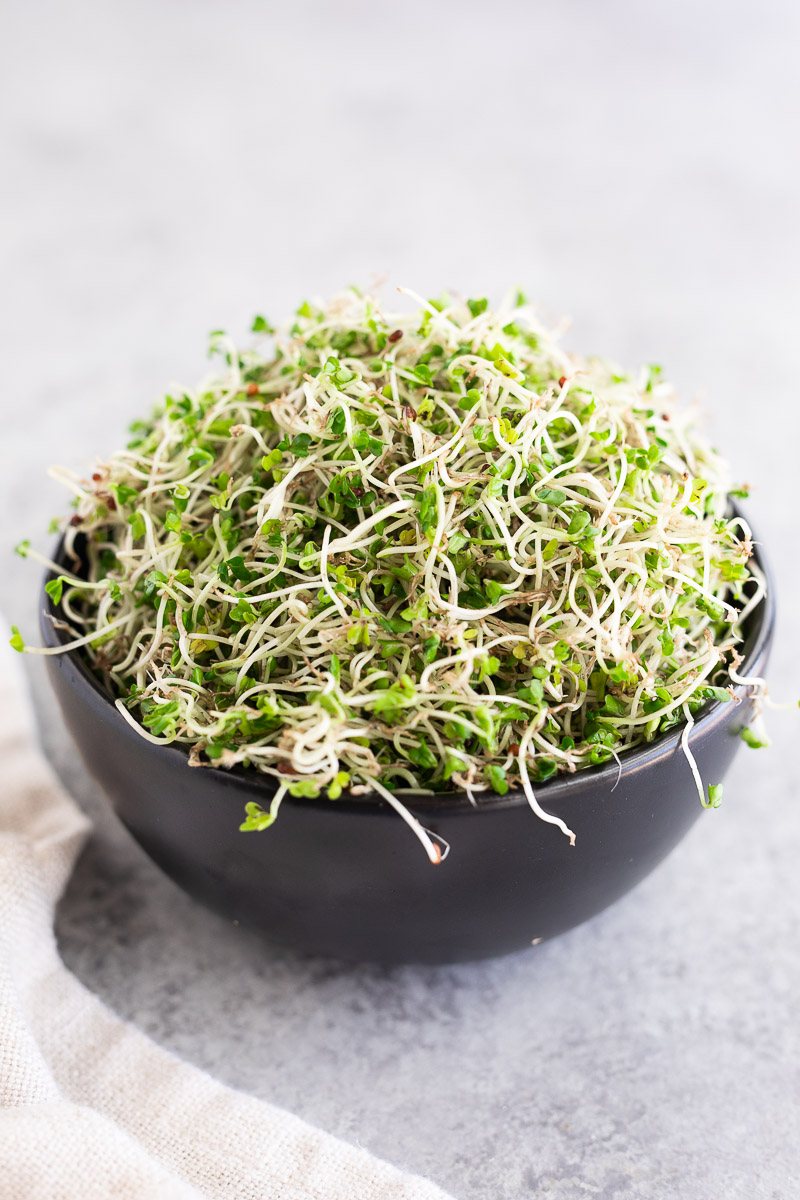 broccoli sprouts grown at home
