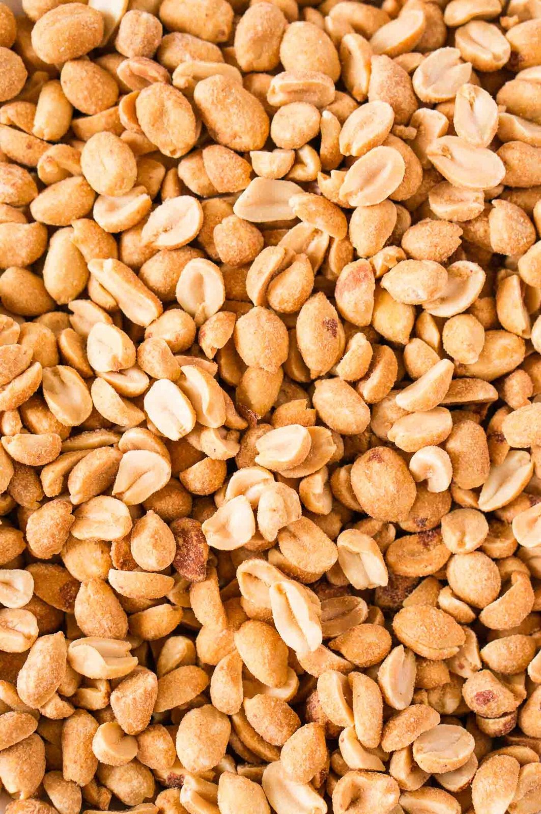 close up image of peanuts
