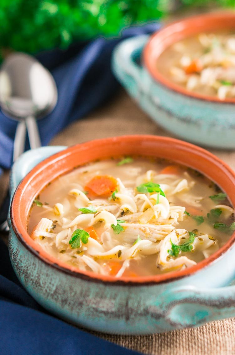 Instant Pot Chicken Noodle Soup