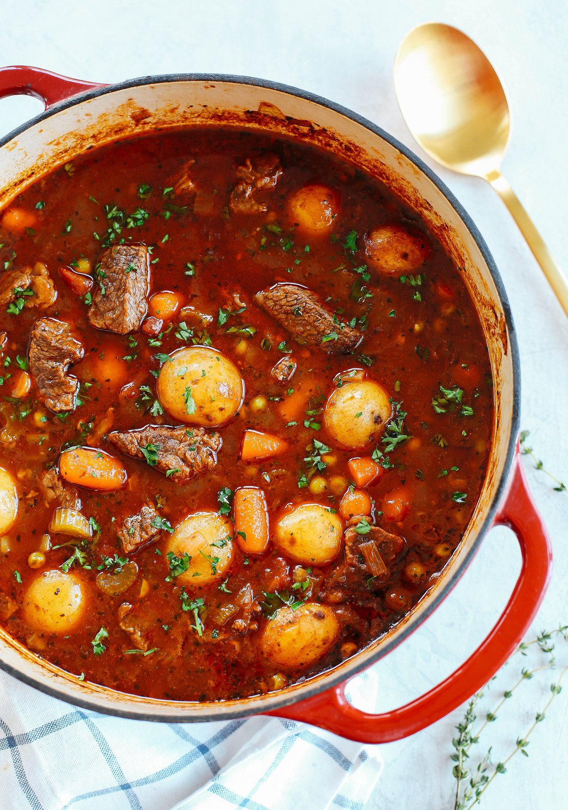 Instant Pot tomato beef stew