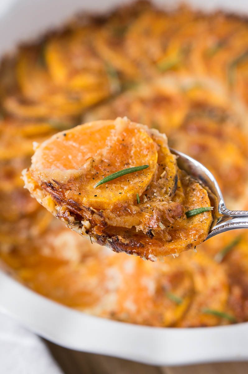 close up of scalloped sweet potatoes on a spoon