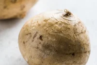 Jicama The Crunchy Root You Need to Know