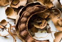 Tamarind Unveiled