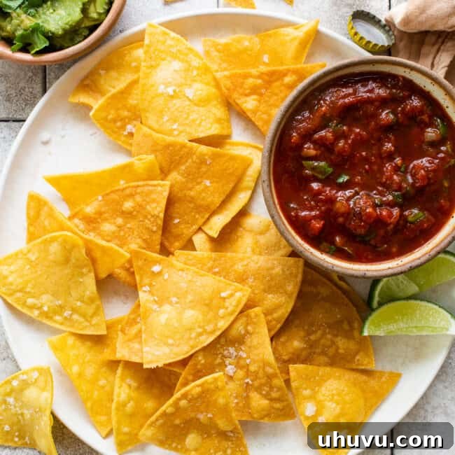 Golden Homemade Tortilla Chips 7 Homemade tortilla chips on a plate seasoned with flaky sea salt.