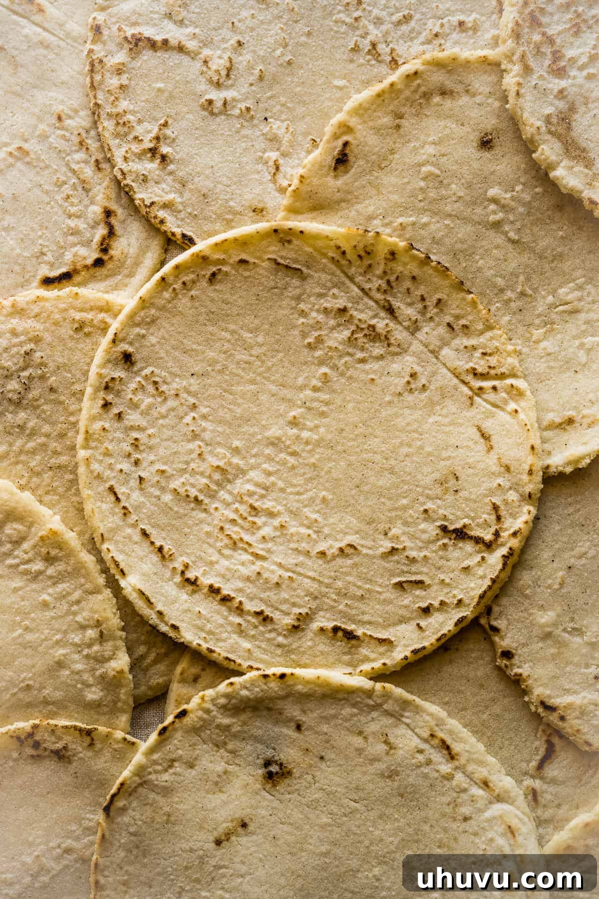 Freshly made corn tortillas stacked on a plate, radiating warmth and authenticity.