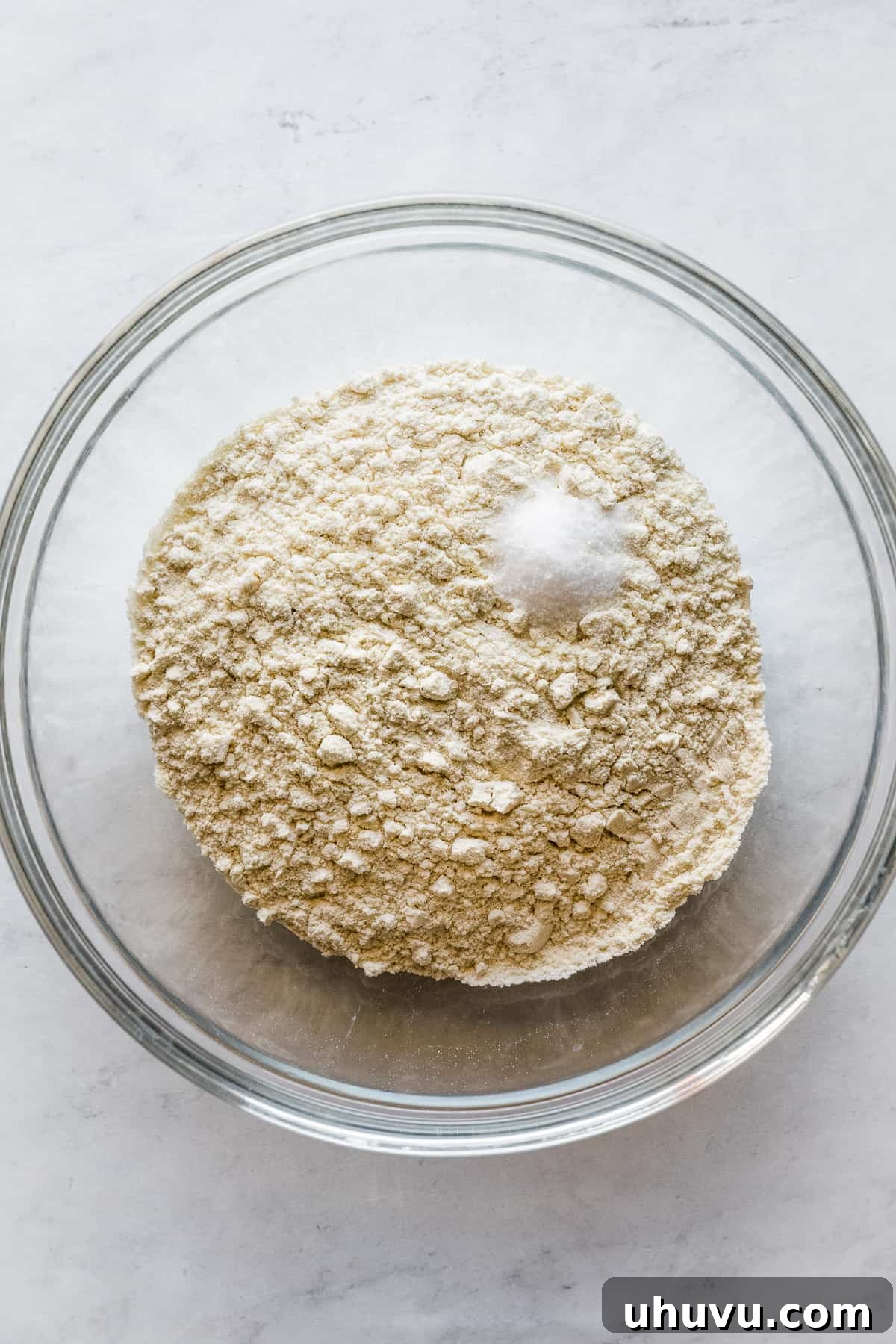 Masa harina and salt perfectly combined in a mixing bowl, ready for liquid.