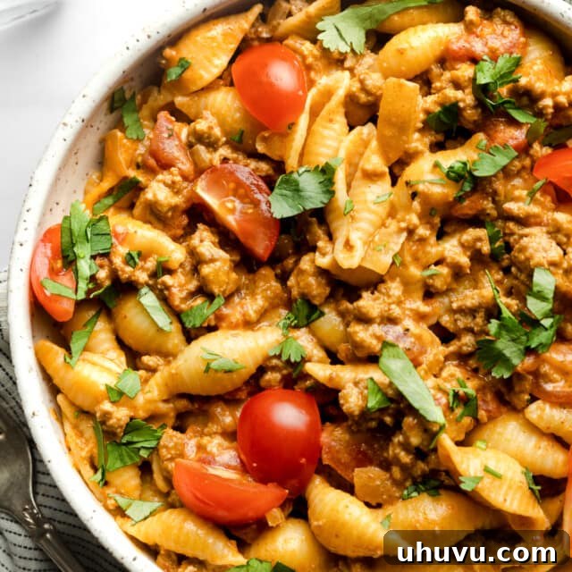 Southwestern Skillet Pasta 6 Taco pasta in a bowl garnished with cilantro.