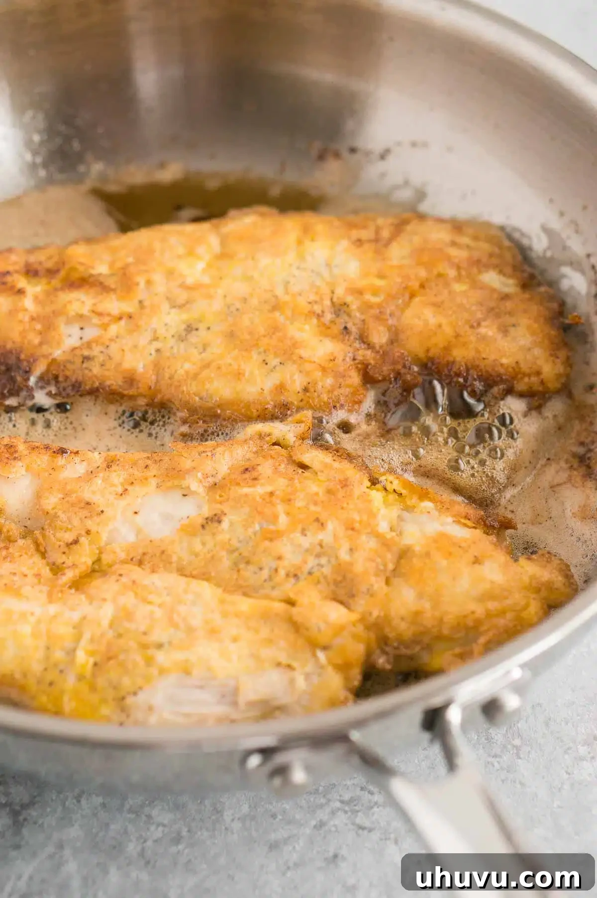 Best Chicken Francaise Recipe close-up, highlighting the golden coating and rich sauce.