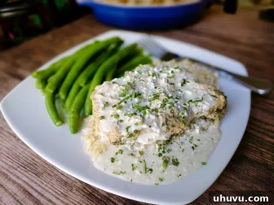 Quick Freezer Meals: Recipes and Time-Saving Hacks 11 Creamy Ranch Pork Chops served with fresh green beans on a white plate.
