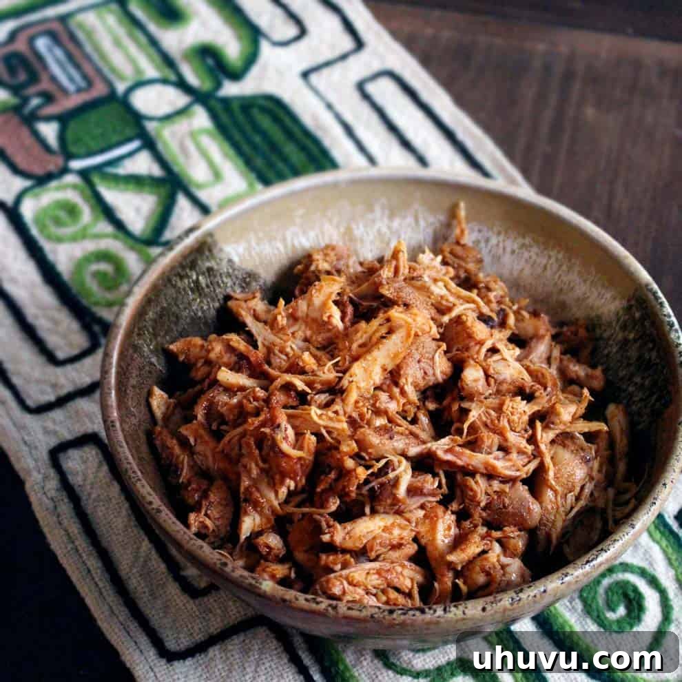 Quick Freezer Meals: Recipes and Time-Saving Hacks 16 A savory bowl of Smoky Mexican Pulled Chicken, garnished with fresh cilantro.