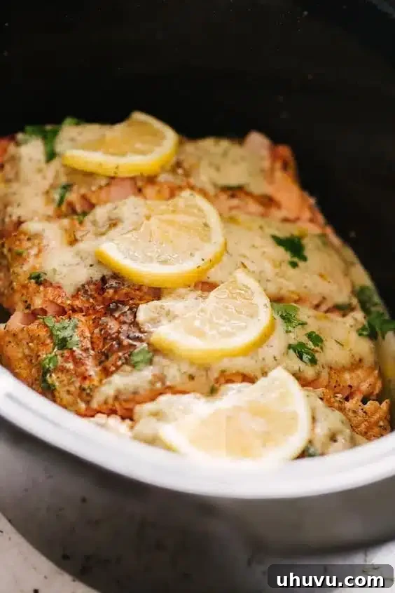 Quick Freezer Meals: Recipes and Time-Saving Hacks 21 A healthy freezer meal of slow cooker salmon with a creamy lemon sauce, garnished with herbs.