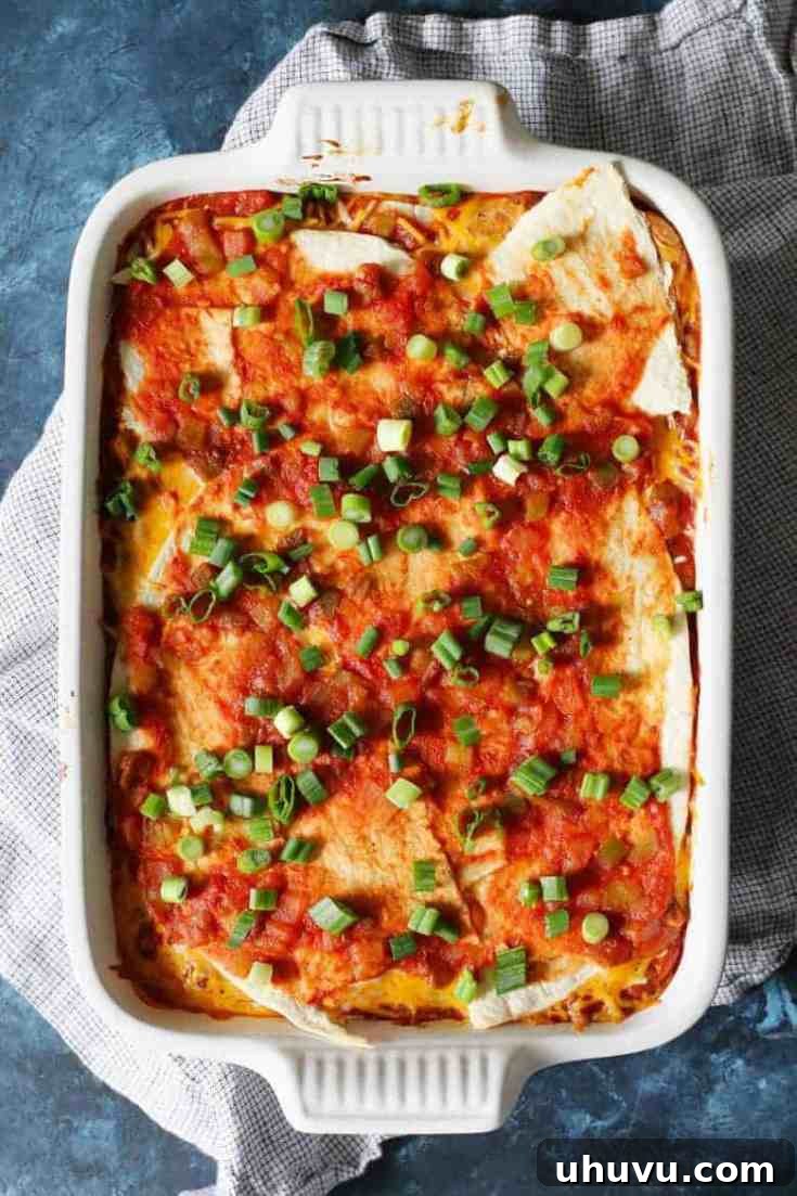 Quick Freezer Meals: Recipes and Time-Saving Hacks 22 A delightful Vegetarian Bean Burrito Casserole, baked and ready to serve.