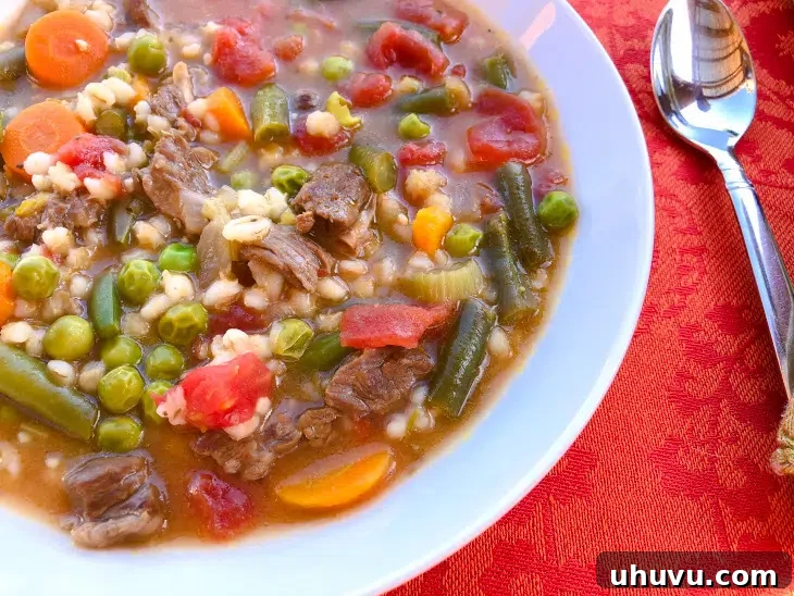 Quick Freezer Meals: Recipes and Time-Saving Hacks 4 A hearty bowl of Instant Pot beef and barley soup, a healthy freezer meal option.