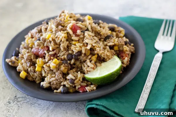 Quick Freezer Meals: Recipes and Time-Saving Hacks 5 Delicious Beef Mexican Rice served on a dark plate, garnished.