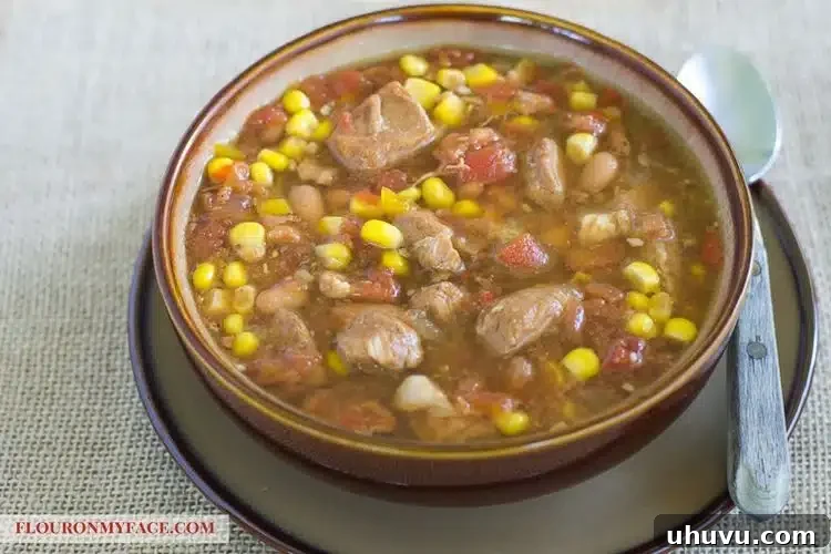 Quick Freezer Meals: Recipes and Time-Saving Hacks 9 A comforting bowl of slow cooker pork stew, a perfect healthy freezer meal.