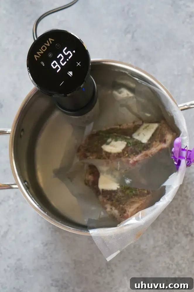 Sous Vide Steak Perfection 5 sous vide steaks