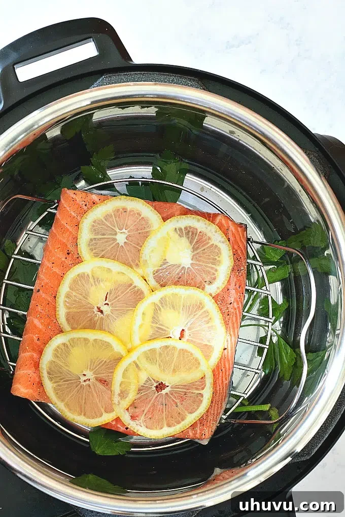 Perfectly cooked lemon pepper salmon fillet, topped with a lemon slice, made in an Instant Pot