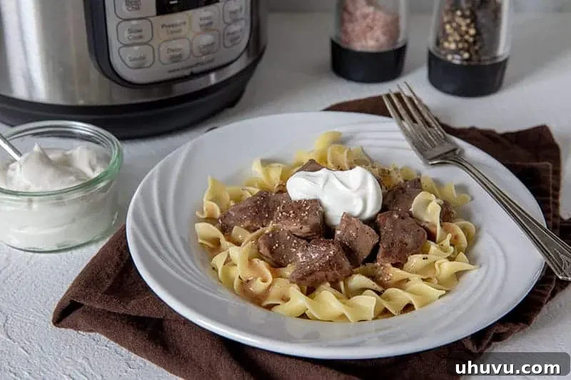 Instant Pot beef sirloin tips in rich brown gravy served on a bed of egg noodles