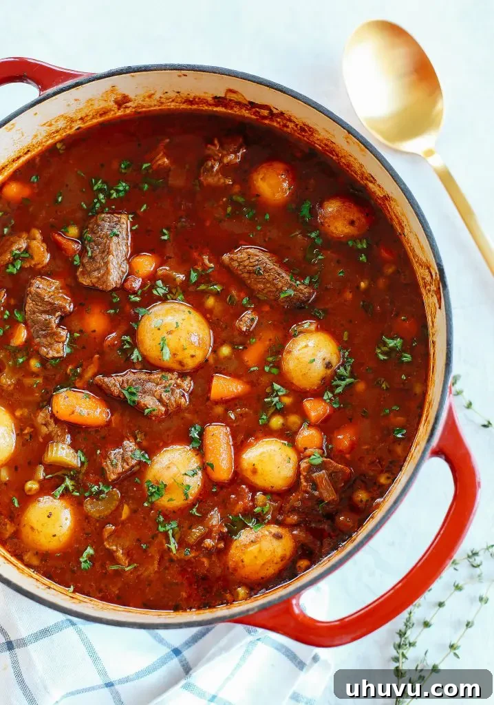 Hearty Instant Pot tomato beef stew with tender beef and chunky vegetables