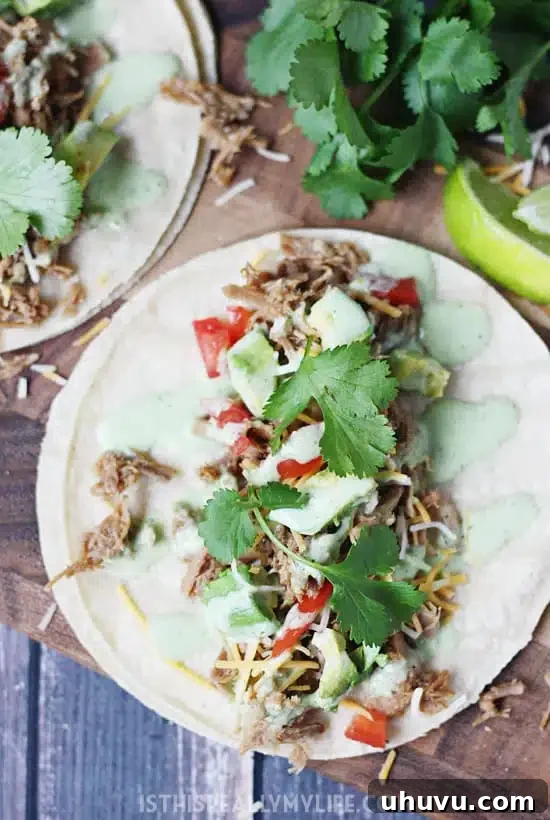 Instant Pot sweet pork tacos filled with tender shredded pork, topped with fresh cilantro