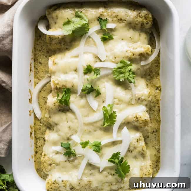 Enchiladas Suizas in a baking dish garnished with onions and cilantro.