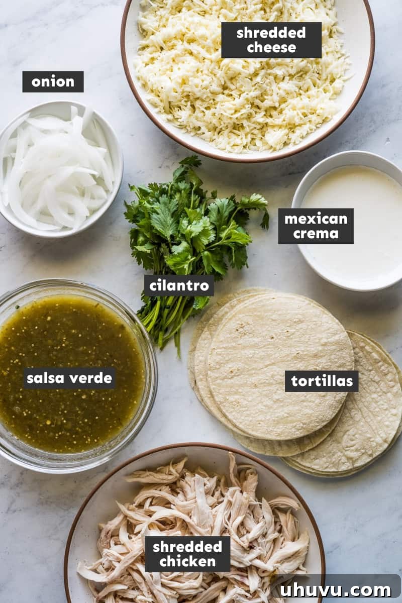 Creamy Tomatillo Enchiladas 3 Enchiladas suizas ingredients on a table.