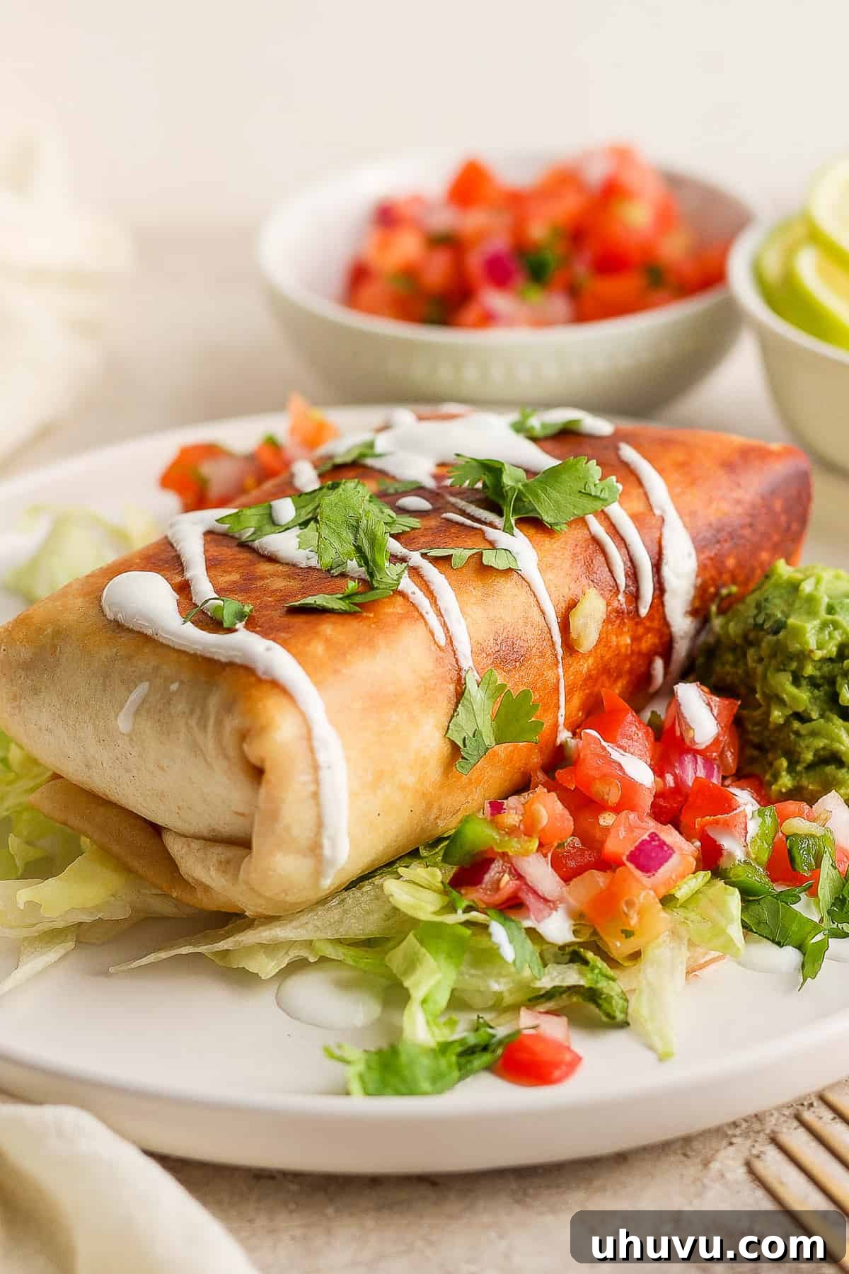 Golden Fried Delights 9 A single perfectly golden-brown chicken chimichanga, artfully placed on a bed of shredded lettuce, drizzled with creamy Mexican crema, and served with vibrant guacamole and fresh pico de gallo on the side.