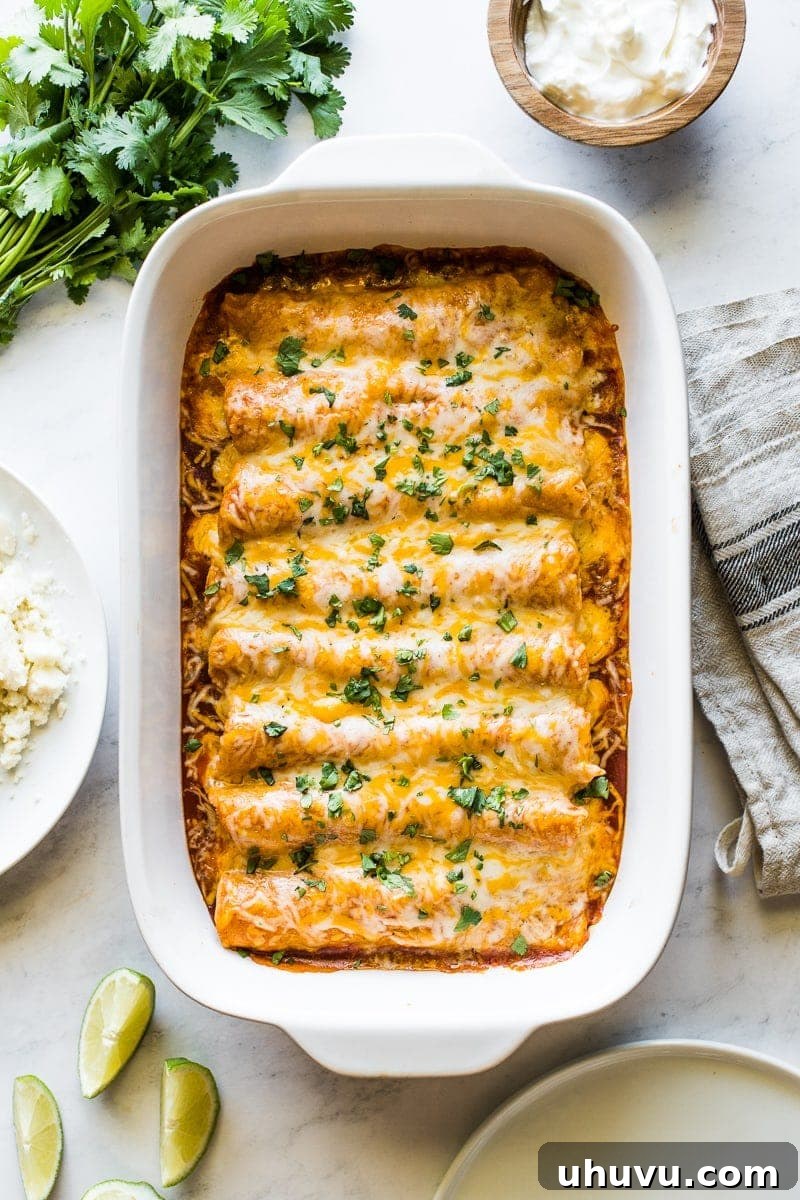 Effortless Chicken Enchiladas 2 Delicious chicken enchiladas in a baking dish, freshly baked and topped with cilantro, ready to serve.