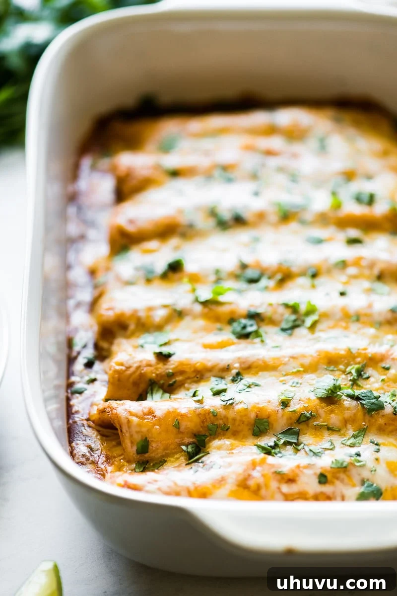 Effortless Chicken Enchiladas 3 Close-up of cheesy chicken enchiladas with perfectly melted and bubbly cheese in a baking dish, straight from the oven.
