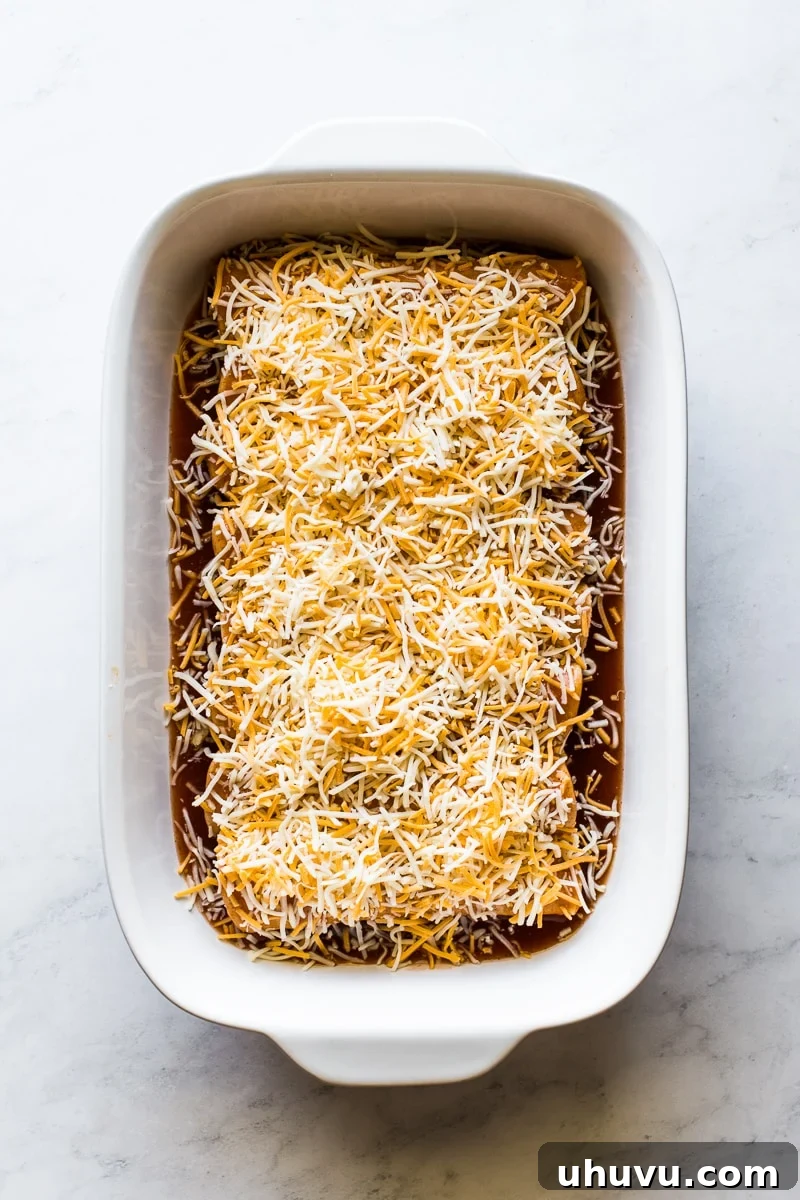 Effortless Chicken Enchiladas 5 Chicken enchiladas topped with a generous layer of shredded cheese, ready to go into the oven for baking.