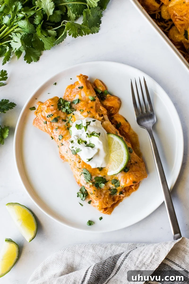 Effortless Chicken Enchiladas 6 A plate of chicken enchiladas topped with sour cream and cilantro, alongside rice and beans.
