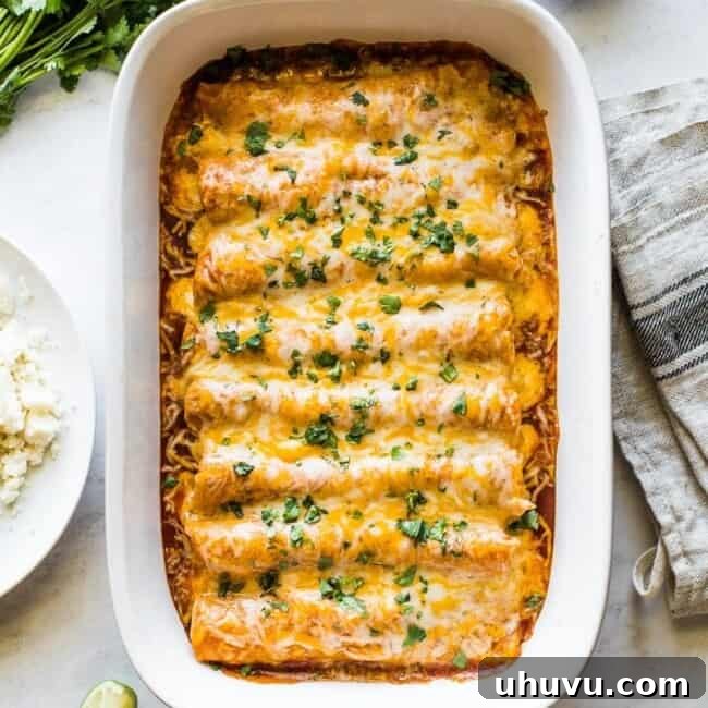 Chicken enchiladas in a baking dish topped with cilantro.