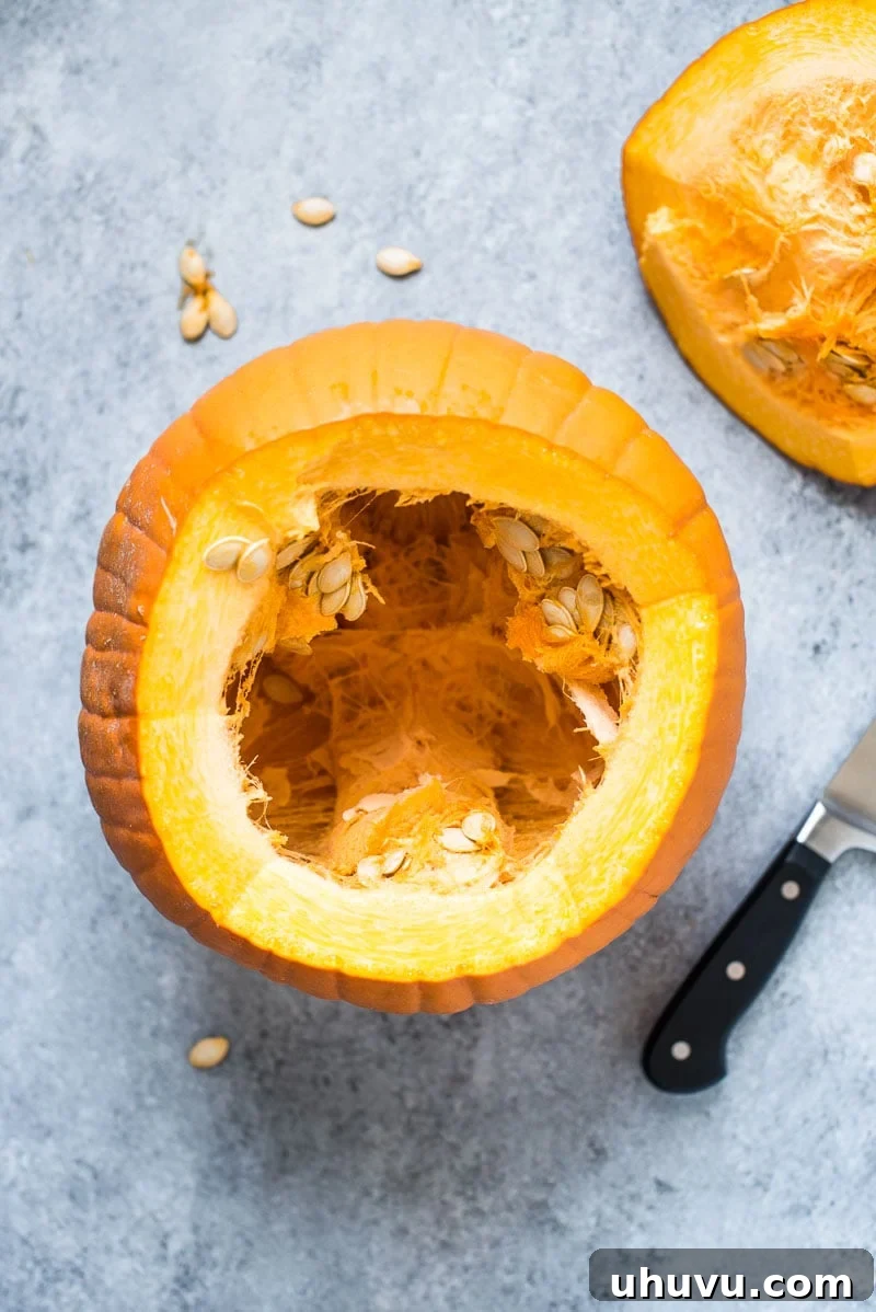 Crispy Roasted Pumpkin Seeds Made Easy 3 Fresh pumpkin seeds being scooped from a pumpkin, ready for cleaning and roasting.