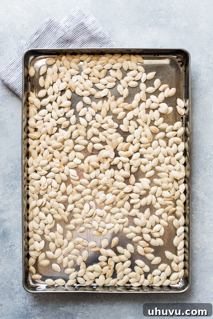 Crispy Roasted Pumpkin Seeds Made Easy 4 Cleaned and dried pumpkin seeds spread evenly on a baking sheet, ready for seasoning.