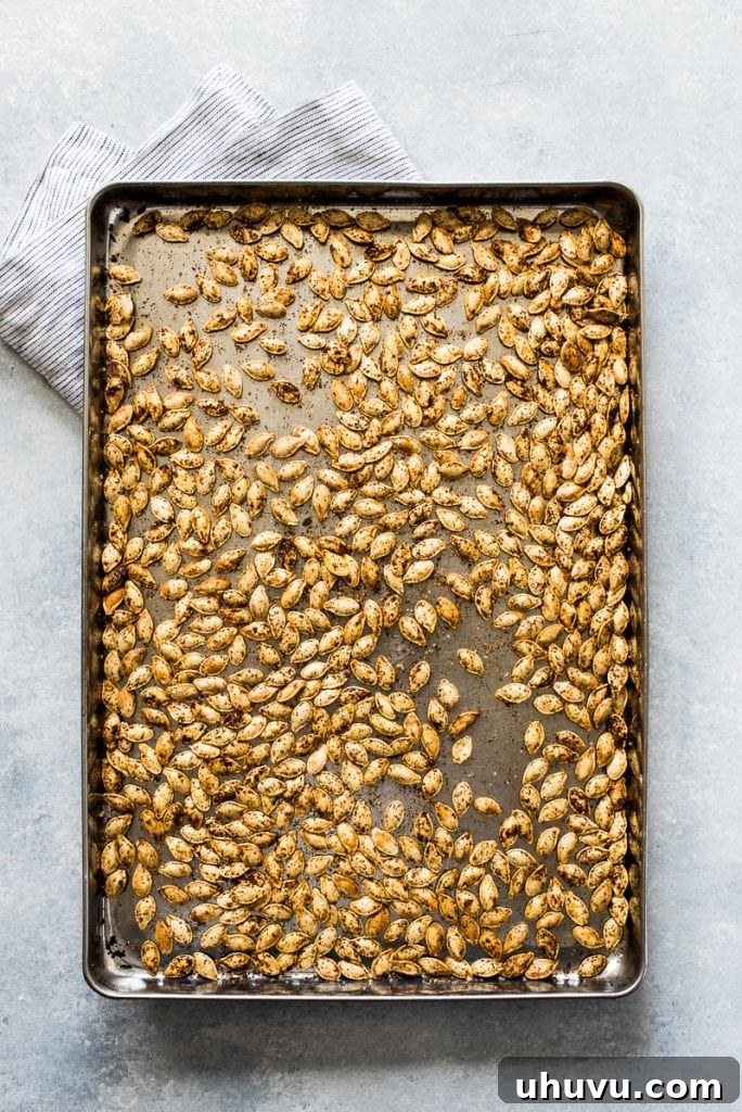 Crispy Roasted Pumpkin Seeds Made Easy 5 Freshly roasted pumpkin seeds cooling on a baking sheet, showcasing their golden-brown color and irresistible crunch.