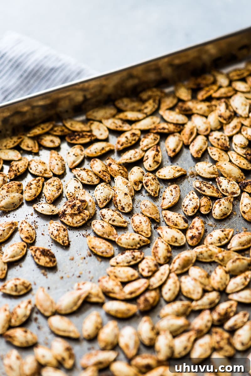 Crispy Roasted Pumpkin Seeds Made Easy 6 A close-up of roasted pumpkin seeds, beautifully seasoned and ready for snacking.