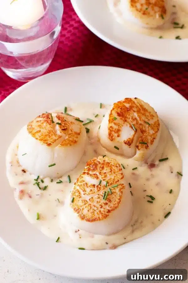 Scallops with Bacon Cream Sauce, a gourmet skillet dish made quickly.