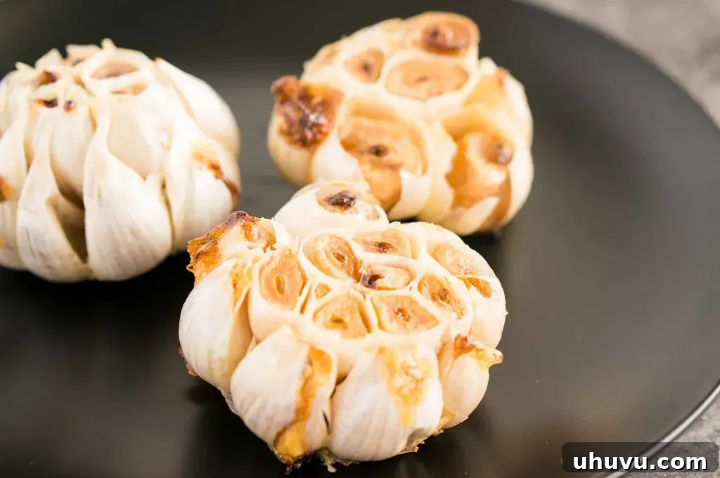 Squeezing out roasted garlic cloves from the bulb