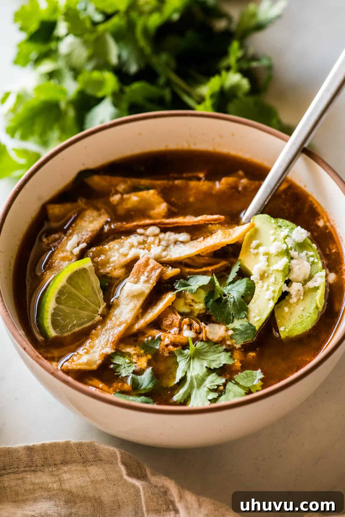 Fiesta Chicken Tortilla Soup 7 Chicken Tortilla Soup in a bowl ready to eat.
