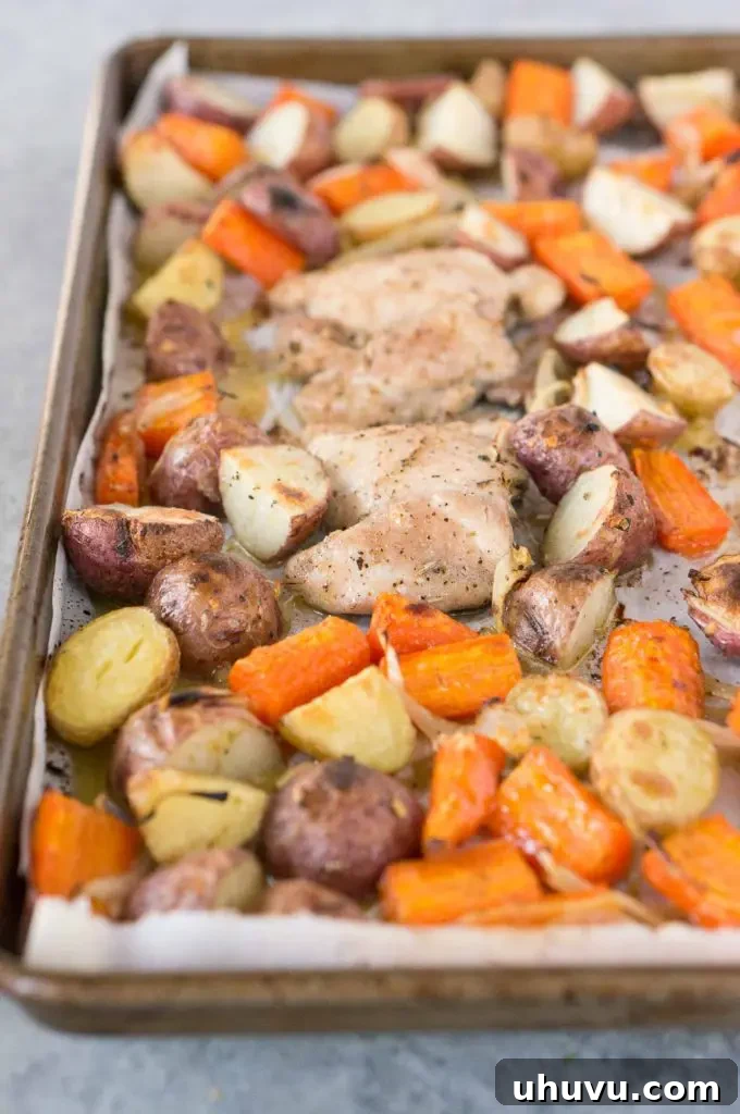 Close-up of golden brown sheet pan chicken and potatoes, fresh out of the oven.