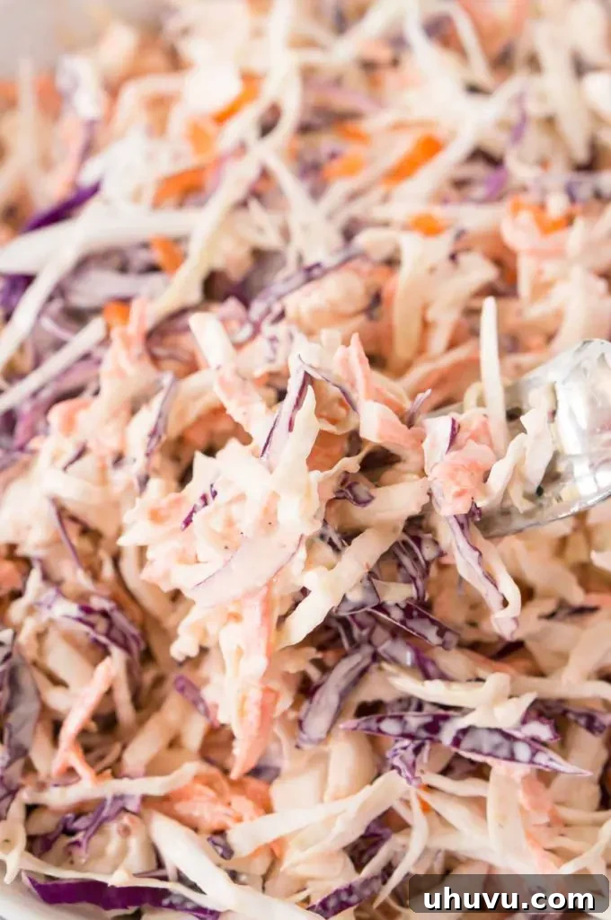 A vibrant bowl of fresh homemade slaw with mixed cabbage and carrots
