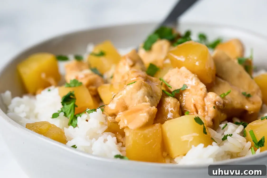 close up of hawaiian chicken in a bowl