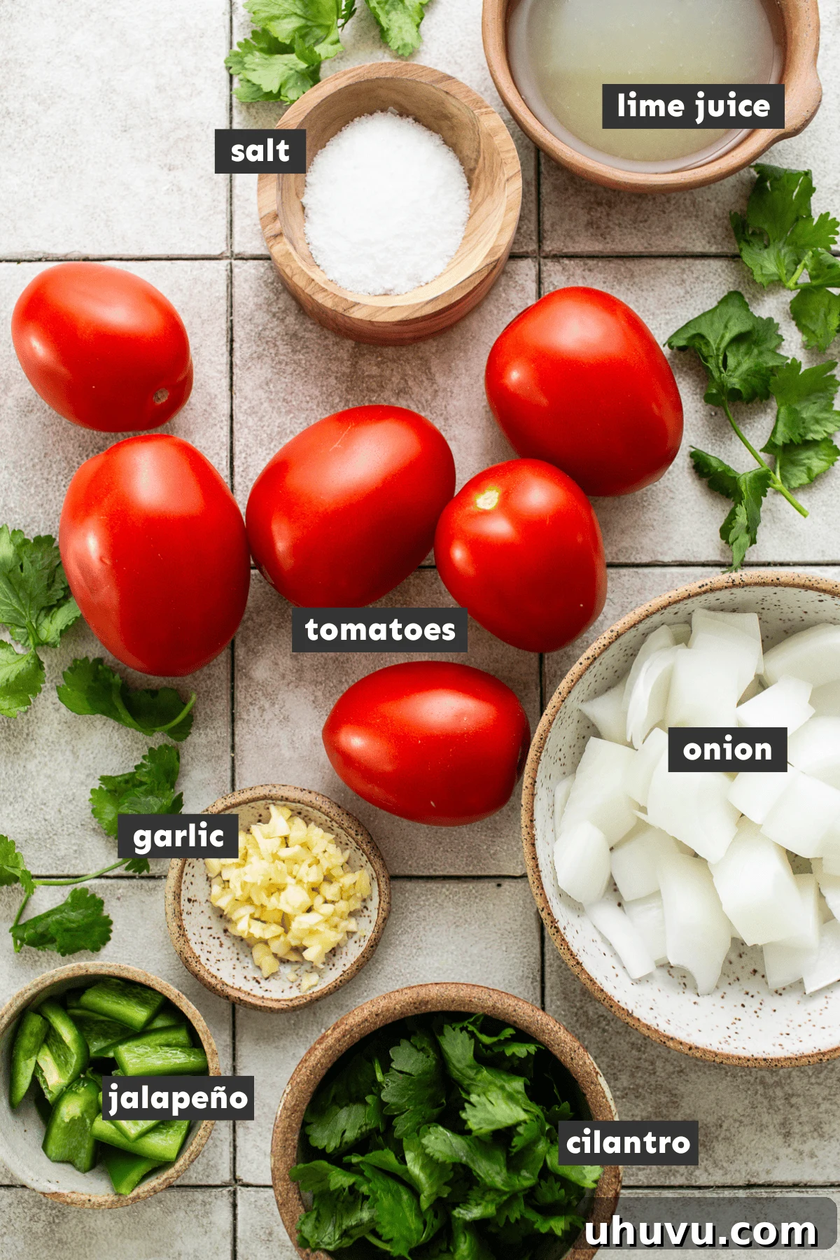 Salsa Bliss from Your Kitchen 3 Fresh ingredients for homemade salsa beautifully arranged on a rustic wooden table, including ripe red tomatoes, a white onion, a vibrant green jalapeño, fragrant cilantro, and a few garlic cloves, awaiting preparation.